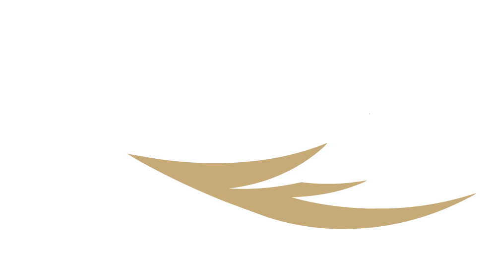 Fondo blanco con las palabras "Protección Familiar" en texto grande y claro sobre dos formas abstractas de alas, una blanca y otra dorada, superpuestas en la parte inferior.